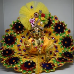 Elegance of Krishna Poshakh
